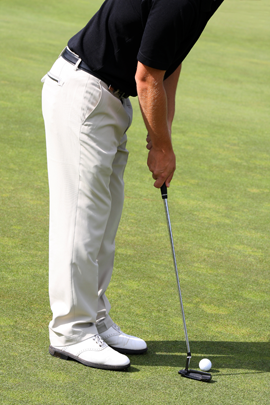 wilcox Golf