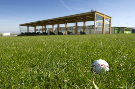 wilcox Golf